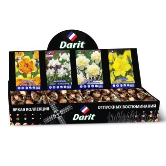 Шоубокс 224 НАРЦИССЫ, Darit, 4 вида по 35 шт