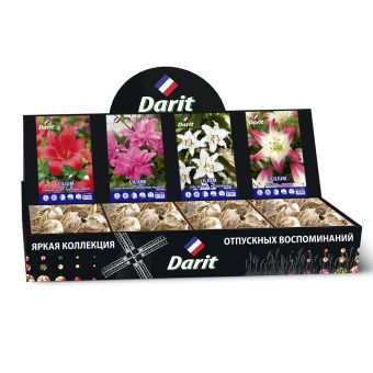 Шоубокс 186 ЛИЛИИ Darit, 4 вида по 20 шт 