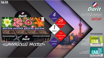 Лилейники Hemerocallis,ШАНХАЙСКИЙ РАССВЕТ, Darit, Шоубокс 38, 4 вида по 7 шт.