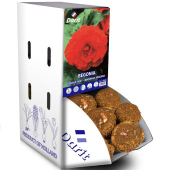 Бегония Махровая красная Begonia Double Red 6/+, Darit Рекбокс 35шт