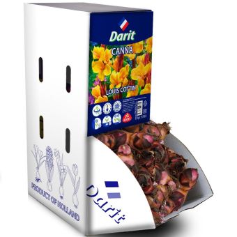 Канна Луи Котэн Canna Louis Cottin, Darit Рекбокс 15шт