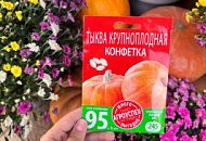 Выбирайте семена серии «МНОГО-ВЫГОДНО» от Агроуспех и начинайте создавать ваш огород с удовольствием и экономией! Выбирайте семена серии «МНОГО-ВЫГОДНО» от Агроуспех и начинайте создавать ваш огород с удовольствием и экономией!