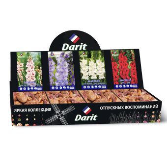 Шоубокс 194 ГЛАДИОЛУСЫ Darit, 4 вида по 35 шт
