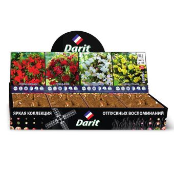 Бегонии ампельные Ampel begonia,ЦВЕТОЧНЫЙ ДОЖДЬ,Darit, Шоубокс 44, 4 вида по 20 шт.