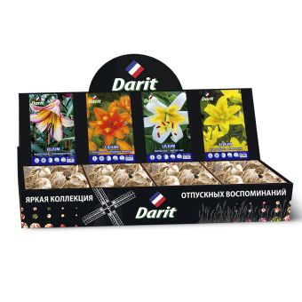 Шоубокс 185 ЛИЛИИ Darit, 4 вида по 20 шт 