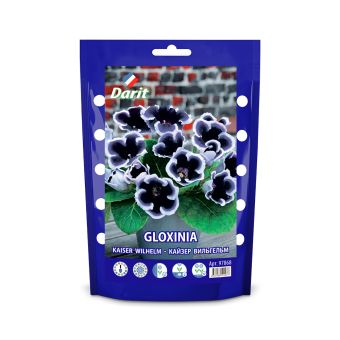 Глоксиния Кайзер Вильгельм Gloxinia Kaiser Wilhelm 5/+, Darit Дой-пак, 2шт