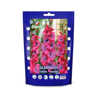 Гладиолус Люмьер Gladiolus Lumiere 12/+, Darit Дой-пак 7шт