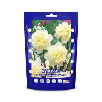 Дой-пак Нарцисс Ледовый король/Ice King 10/12, 2шт, Darit