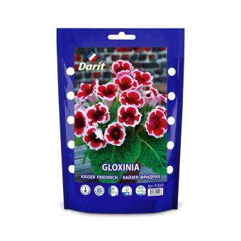 Глоксиния Кайзер Фридрих Gloxinia Kaiser Friedrich 5/+, Darit Дой-пак  2шт