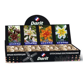 Шоубокс 188 ЛИЛИИ Darit, 4 вида по 20 шт 