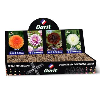 Шоубокс 200 ГЕОРГИНА Darit, 4 вида по 7 шт