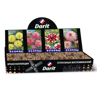 Шоубокс 202 ГЕОРГИНА Darit, 4 вида по 7 шт