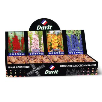 Шоубокс 252 ГЛАДИОЛУСЫ Darit, 4 вида по 35 шт