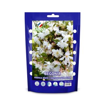 Бегония Ниспадающая белая Pendula White 6/+, Darit Дой-пак, 2шт