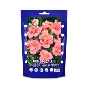 Лилейник Двойной розовый Hemerocallis Double Pink, Darit Дой-пак , I 1шт