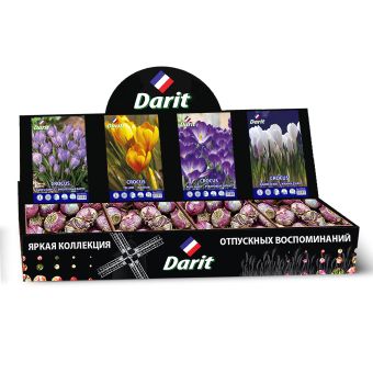 Шоубокс 175 КРОКУСЫ (Желтый/Барра/Рубиновый гигант/Жанна Дарк) Darit, 4вида по 100шт