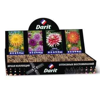 Шоубокс 241 ГЕОРГИНА Darit, 4 вида по 7 шт