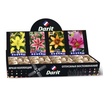 Шоубокс 209 ЛИЛИИ Darit, 4 вида по 20 шт 