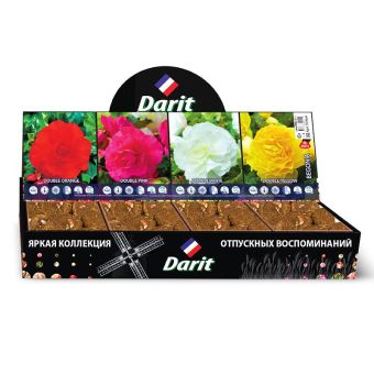 Бегонии полумахровые Begonia,ДВОЙНОЙ ВОСТОРГ,Darit, Шоубокс 43, 4 вида по 20 шт.