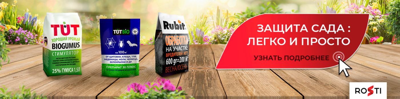 Ранняя весенняя обработка сада: работы и секреты успешного садоводства